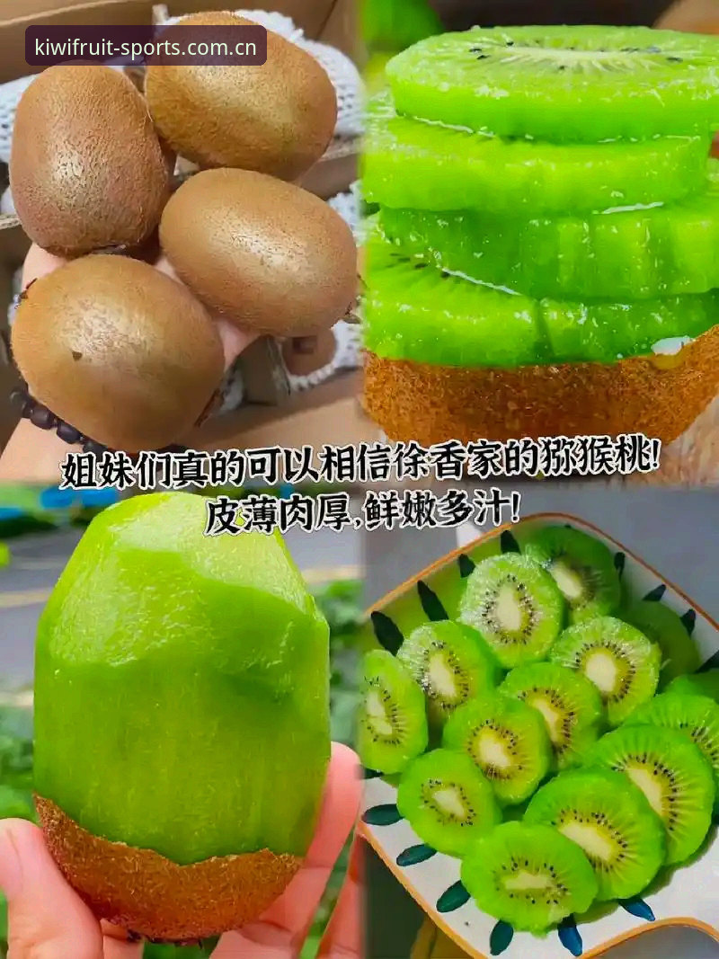 奇异果体育官方网址怎么样 奇异果体育平台深度评测:官方网址可靠性、安全性与访问体验全面分析